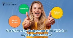 Professional University Assignment image 2